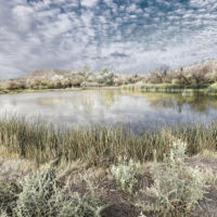 <a href="https://bremner-benedict.com" target=blank rel="noopener noreferrer">Bremner Benedict</a>