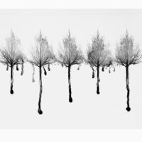 <a href="
http://www.simpletruthsandcomplexlies.com" target=blank rel="noopener noreferrer">Jay Boersma</a>