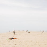 <a href="http://www.dianacherennygren.com" target=blank rel="noopener noreferrer">Diana Cheren Nygren</a>