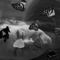 <a href="http://cathycone.com/" target=blank rel="noopener noreferrer">Cathy Cone</a>