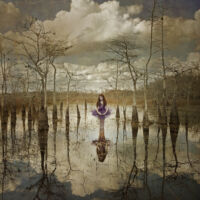 <a href="Http://www.tutubeautiful.net" target=blank rel="noopener noreferrer">Heather Donlan</a>