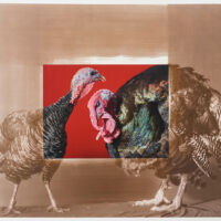 <a href="http://www.rjkern.com" target=blank rel="noopener noreferrer">R.J. Kern</a>