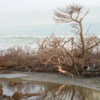 <a href="
http://mckennaimages.com" target=blank rel="noopener noreferrer">Vicki McKenna</a>