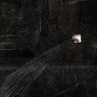 <a href="http://erinmenatian.com" target=blank rel="noopener noreferrer">Erin Menatian</a>