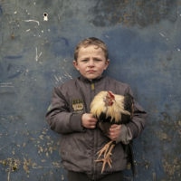 <a href="http://www.bobnewman.com" target=blank rel="noopener noreferrer">Bob Newman</a>