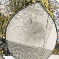 <a href="http://www.annnicholsonbrown.com" target=blank rel="noopener noreferrer">Ann Nicholson Brown</a>