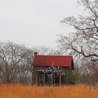 <a href="http://pfeifferphoto.com" target=blank rel="noopener noreferrer">Ray Pfeiffer</a>