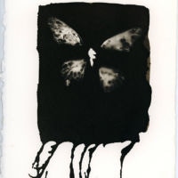 <a href="http://www.marywestquin.com" target=blank rel="noopener noreferrer">Mary West Quin</a>