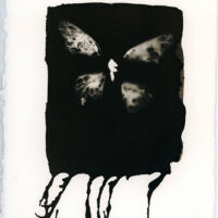 <a href="http://www.marywestquin.com" target=blank rel="noopener noreferrer">Mary West Quin</a>