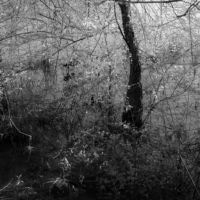 <a href="http://richardskoonberg.com" target=blank rel="noopener noreferrer">Richard Skoonberg</a>