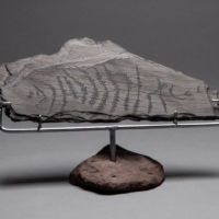 <a href="http://www.billwest.com" target=blank rel="noopener noreferrer">Bill Westheimer </a>