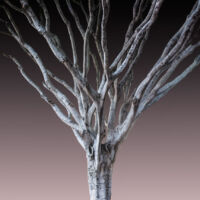 Glazer_Helen_Big_Bird_Tree
