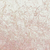 Deborah Kaplan - Grass Traces 9