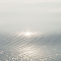 Leggat_Gaye_White_Glow-001