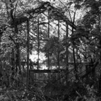 Lewin_Barbara_Hidden-Yonkers-2020