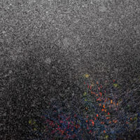 Ng_Xuan-Hui_Snowbugs