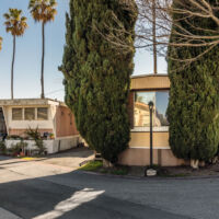 TunnellHandel_Kathleen_Down-the-Street-California-01-2018