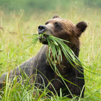 <a href="https://www.elizabethacevedophotography.com/" target="_blank">Elizabeth Acevedo</a> Elizabeth Acevedo