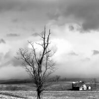 <a href="https://www.instagram.com/roguephotoknitter8/" target="_blank">Justine Crowley</a> Justine Crowley